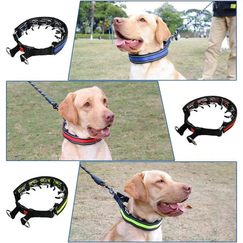 Hunde‑No‑Pull Halsband – Sanfte Anti-Zug Korrektur für entspannte Spaziergänge