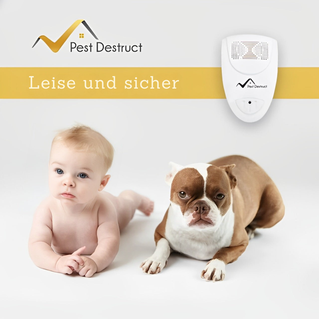 SilentGuard Bettwanzenabwehr – Ultraschall, Chemiefrei & Sicher gegen Bettwanzen